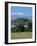 Zebra, Amboseli National Park, With Mount Kilimanjaro in the Background, Kenya, East Africa, Africa-Charles Bowman-Framed Photographic Print