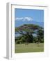 Zebra, Amboseli National Park, With Mount Kilimanjaro in the Background, Kenya, East Africa, Africa-Charles Bowman-Framed Photographic Print