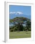 Zebra, Amboseli National Park, With Mount Kilimanjaro in the Background, Kenya, East Africa, Africa-Charles Bowman-Framed Photographic Print