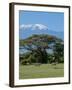 Zebra, Amboseli National Park, With Mount Kilimanjaro in the Background, Kenya, East Africa, Africa-Charles Bowman-Framed Photographic Print