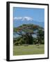 Zebra, Amboseli National Park, With Mount Kilimanjaro in the Background, Kenya, East Africa, Africa-Charles Bowman-Framed Photographic Print