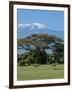 Zebra, Amboseli National Park, With Mount Kilimanjaro in the Background, Kenya, East Africa, Africa-Charles Bowman-Framed Photographic Print