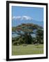 Zebra, Amboseli National Park, With Mount Kilimanjaro in the Background, Kenya, East Africa, Africa-Charles Bowman-Framed Photographic Print