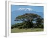 Zebra, Amboseli National Park, With Mount Kilimanjaro in the Background, Kenya, East Africa, Africa-Charles Bowman-Framed Photographic Print
