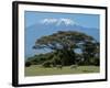 Zebra, Amboseli National Park, With Mount Kilimanjaro in the Background, Kenya, East Africa, Africa-Charles Bowman-Framed Photographic Print