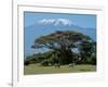 Zebra, Amboseli National Park, With Mount Kilimanjaro in the Background, Kenya, East Africa, Africa-Charles Bowman-Framed Photographic Print