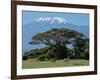 Zebra, Amboseli National Park, With Mount Kilimanjaro in the Background, Kenya, East Africa, Africa-Charles Bowman-Framed Photographic Print