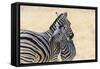 Zebra and Baby-Lantern Press-Framed Stretched Canvas