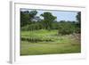 Zebra and Impala at Waterhole, South Luangwa National Park, Zambia, Africa-Janette Hill-Framed Photographic Print