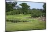 Zebra and Impala at Waterhole, South Luangwa National Park, Zambia, Africa-Janette Hill-Mounted Photographic Print