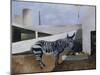 Zebra and Parachute-Christopher Wood-Mounted Giclee Print