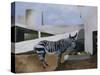 Zebra and Parachute-Christopher Wood-Stretched Canvas