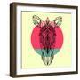 Zebra and Sunset-Lisa Kroll-Framed Premium Giclee Print