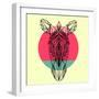 Zebra and Sunset-Lisa Kroll-Framed Premium Giclee Print