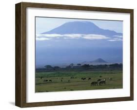 Zebra and Wildebeest under Mt. Kilimanjaro, Amboseli National Park, Kenya-Paul Souders-Framed Photographic Print