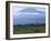 Zebra and Wildebeest under Mt. Kilimanjaro, Amboseli National Park, Kenya-Paul Souders-Framed Photographic Print