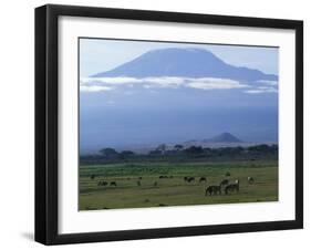 Zebra and Wildebeest under Mt. Kilimanjaro, Amboseli National Park, Kenya-Paul Souders-Framed Photographic Print