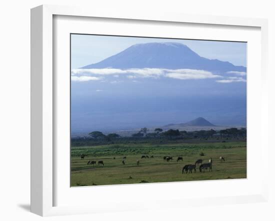 Zebra and Wildebeest under Mt. Kilimanjaro, Amboseli National Park, Kenya-Paul Souders-Framed Photographic Print