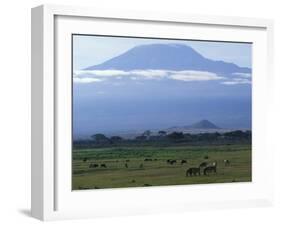 Zebra and Wildebeest under Mt. Kilimanjaro, Amboseli National Park, Kenya-Paul Souders-Framed Photographic Print