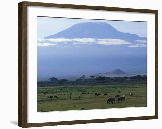 Zebra and Wildebeest under Mt. Kilimanjaro, Amboseli National Park, Kenya-Paul Souders-Framed Photographic Print