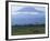 Zebra and Wildebeest under Mt. Kilimanjaro, Amboseli National Park, Kenya-Paul Souders-Framed Photographic Print