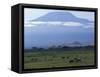 Zebra and Wildebeest under Mt. Kilimanjaro, Amboseli National Park, Kenya-Paul Souders-Framed Stretched Canvas