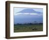 Zebra and Wildebeest under Mt. Kilimanjaro, Amboseli National Park, Kenya-Paul Souders-Framed Photographic Print