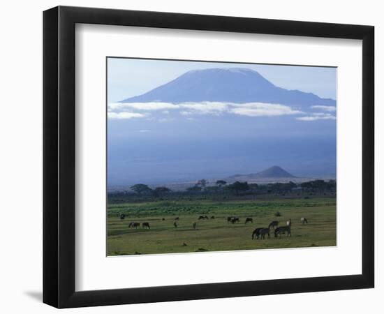 Zebra and Wildebeest under Mt. Kilimanjaro, Amboseli National Park, Kenya-Paul Souders-Framed Photographic Print