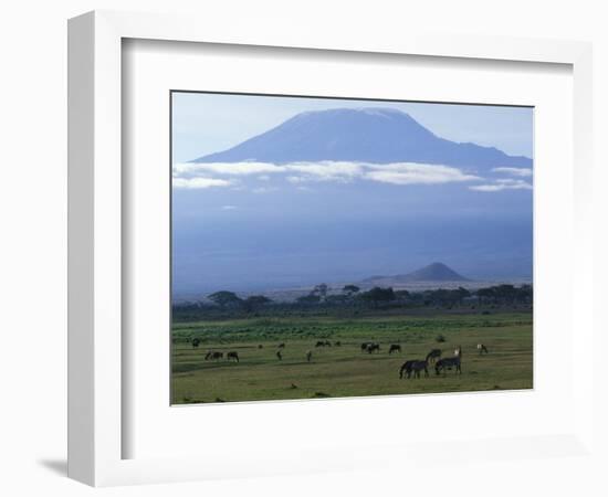 Zebra and Wildebeest under Mt. Kilimanjaro, Amboseli National Park, Kenya-Paul Souders-Framed Photographic Print