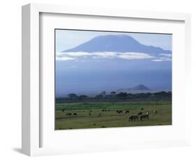 Zebra and Wildebeest under Mt. Kilimanjaro, Amboseli National Park, Kenya-Paul Souders-Framed Photographic Print