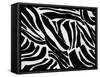 Zebra Animal Print For Backgrounds And Textures-chandanaroy-Framed Stretched Canvas