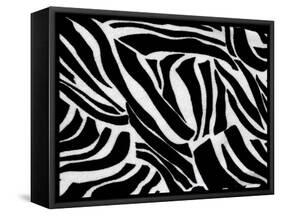 Zebra Animal Print For Backgrounds And Textures-chandanaroy-Framed Stretched Canvas