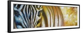 Zebra At Sunset-Cherie Roe Dirksen-Framed Giclee Print