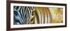 Zebra At Sunset-Cherie Roe Dirksen-Framed Giclee Print