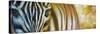 Zebra At Sunset-Cherie Roe Dirksen-Stretched Canvas