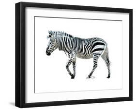 Zebra Blues-OnRei-Framed Art Print