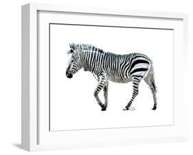 Zebra Blues-OnRei-Framed Art Print