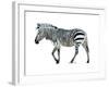 Zebra Blues-OnRei-Framed Art Print