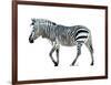 Zebra Blues-OnRei-Framed Art Print