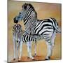 Zebra Bonding-Cherie Roe Dirksen-Mounted Giclee Print