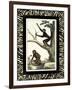 Zebra Border Monkey I-null-Framed Art Print