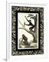 Zebra Border Monkey I-null-Framed Art Print