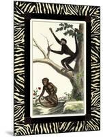 Zebra Border Monkey I-null-Mounted Art Print