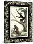 Zebra Border Monkey I-null-Stretched Canvas