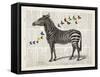 Zebra & Butterflies-Christopher James-Framed Stretched Canvas