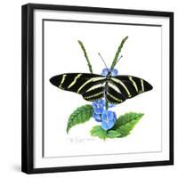 Zebra Butterfly-Tim Knepp-Framed Giclee Print