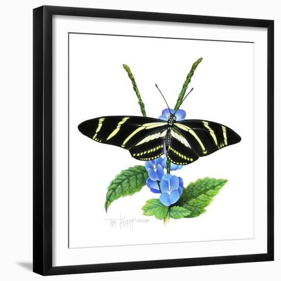 Zebra Butterfly-Tim Knepp-Framed Giclee Print