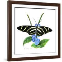 Zebra Butterfly-Tim Knepp-Framed Giclee Print