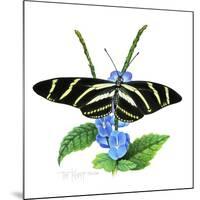 Zebra Butterfly-Tim Knepp-Mounted Giclee Print