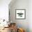 Zebra Butterfly-Tim Knepp-Framed Giclee Print displayed on a wall